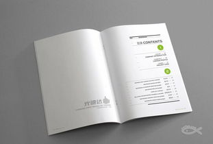 藍瑪設計 專業品牌設計服務，助力廈門企業騰飛